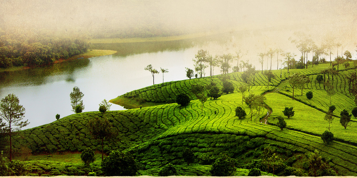 Green Leaf Holidays