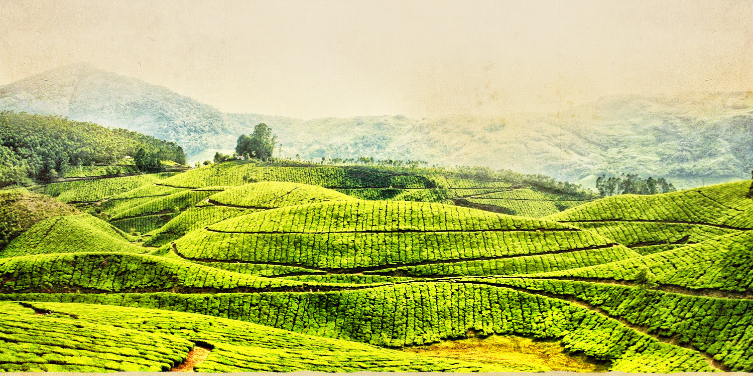 Green Leaf Holidays
