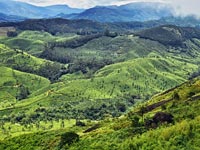 Green Leaf Holidays