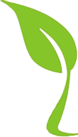 Green Leaf Holidays