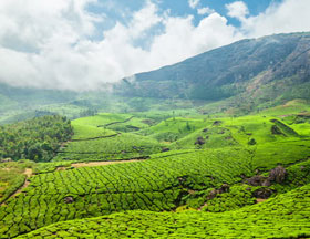 Green Leaf Holidays