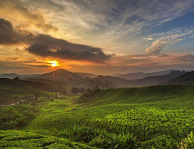 Green Leaf Holidays