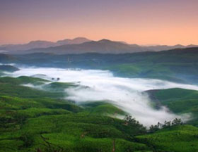 Green Leaf Holidays